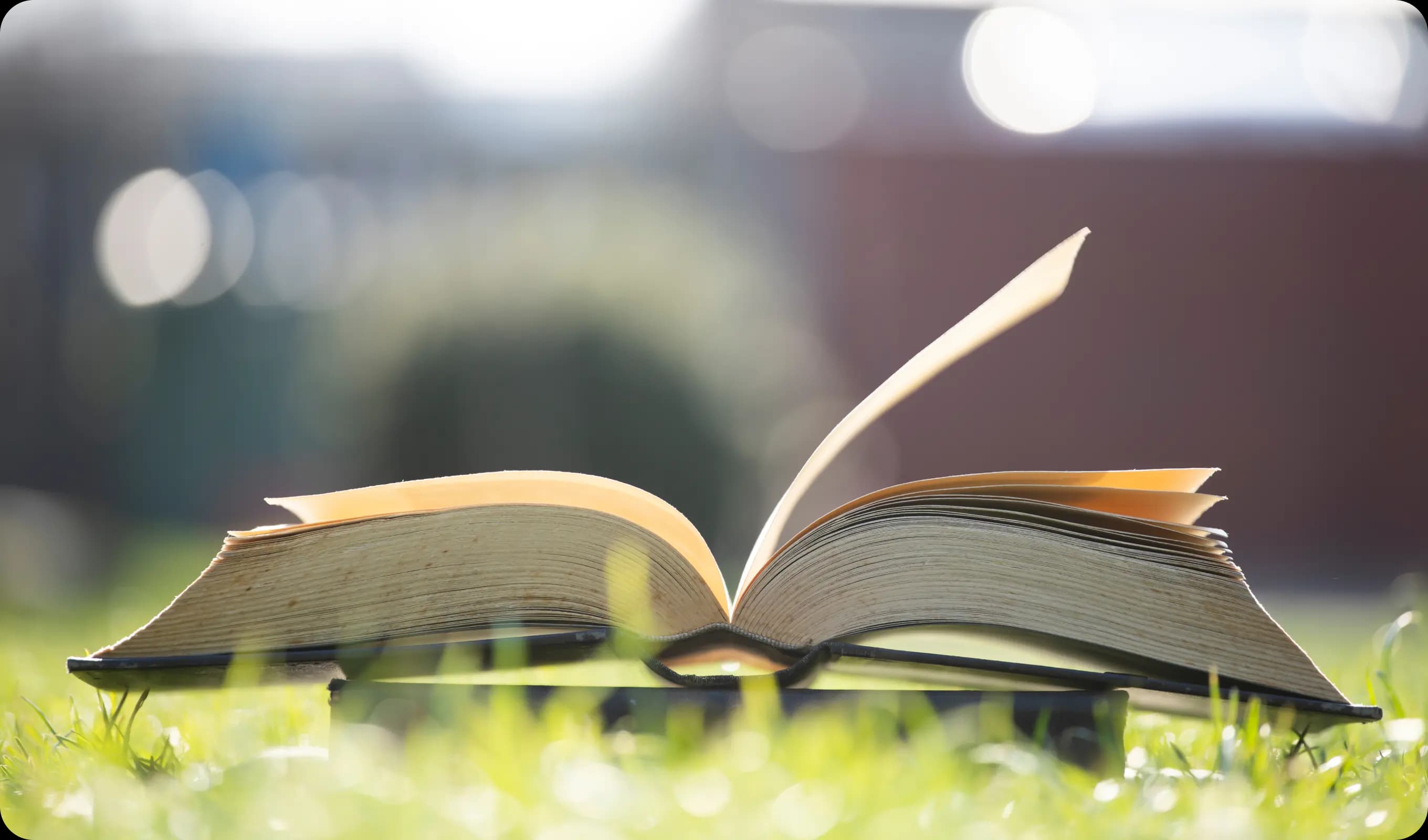 To move to a higher level, we support members’ competency development.